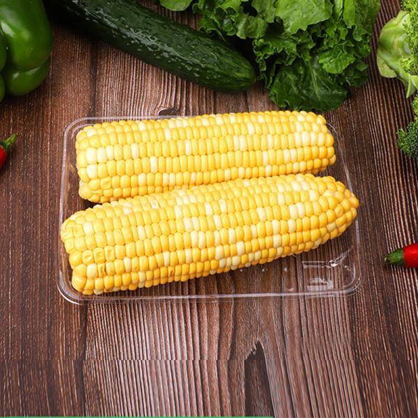 O ANIMAL DE ESTIMAÇÃO dos PP do retângulo empola bandejas vegetais descartáveis