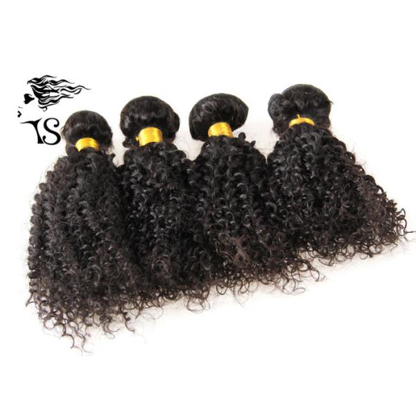 Brazilian Curly Hair Weave Deep Water Wave , Weft Hair Extensions 4 Bundles