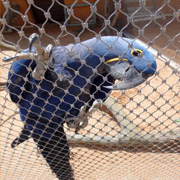 1.2mm 4.0mm SS 304 Wire Mesh Bird Mesh 60 Degree For Zoo Animal Enclosure
