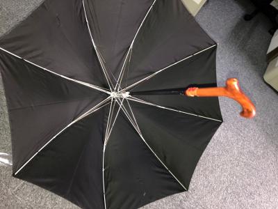 Weatherproof Durable Stick Auto Open And Close Umbrella , 2 Section Shaft