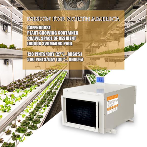 26L/D Ceiling Mount Dehumidifier Hot Sale Machine Air Dehumidifier for Commercial