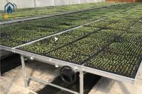 Tableau de culture pour la plantation de fleurs