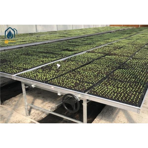 Agricultural Greenhouse Rolling Benches Indoor / Outdoor Greenhouse Rolling Tables
