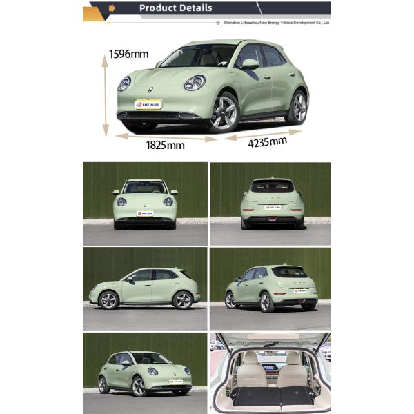 Electric Parking Brake 2024 Great Wall Ora Good Cat Car with Car Entertainment System