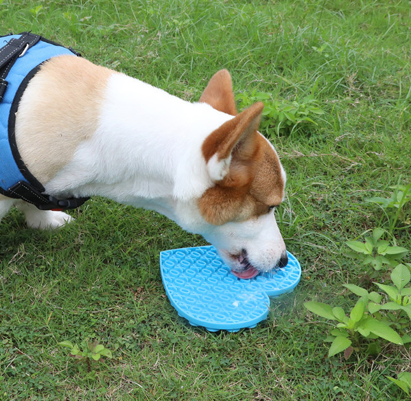 O animal de estimação trata o cão lambe o alimento molhado do alimentador lento do ABS das esteiras