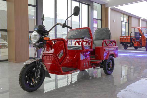 800w Passenger Electric Tricycle With Back Seat Foldable Safety Guardrail