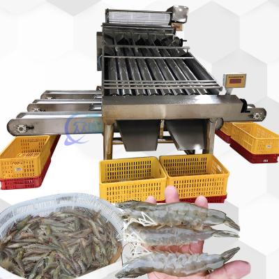 Máquina de classificação de camarão 3P Multiscene Automática Multifunção