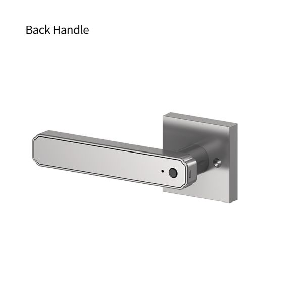 Tuya Smart Lock with Fingerprint & Password Entry Aluminum Alloy Electronic Keypad & Auto Lock Handle for Secure Door Access