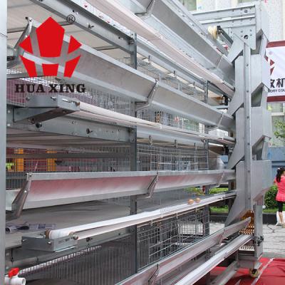 192 Birds Fully Automatic Baby Chick Battery Poultry Cage For Raise Chicken