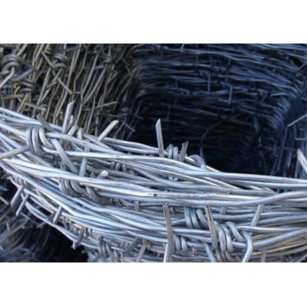 Bwg 12 X 14 Hot Dip Galvanized Barbed Wire Double Strand  Protection