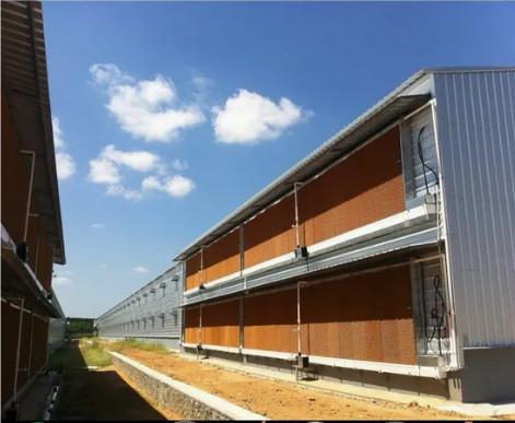 Stable And Durable Prefabricated Steel Structure Poultry Farm Building