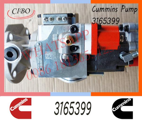 Diesel Injection For Cummins NT855 Fuel Pump 3165399 3074672 3074835 3074843