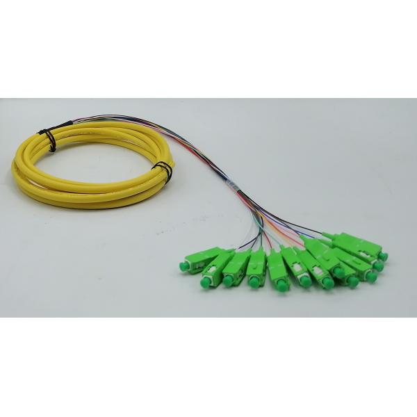 1.5M SC/APC 12 fiber optic fanout pigtails OS2 Single Mode G657A2 Bend Insensitive Riser (OFNR) 0.9mm Yellow