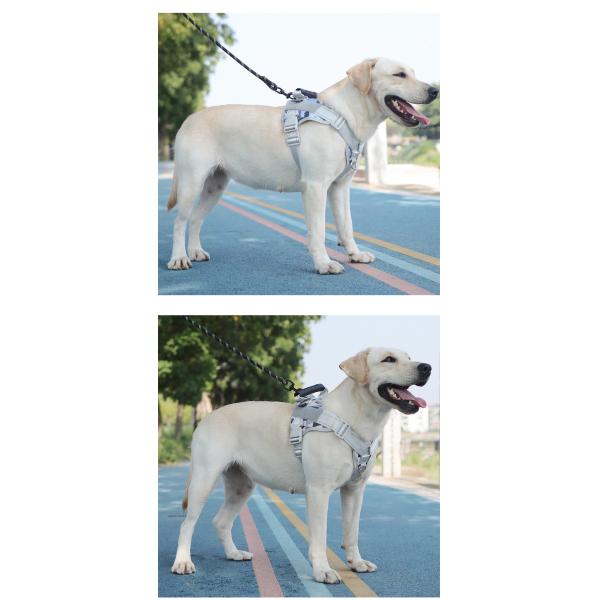 Безопасное ремень для домашних животных Легко очищаемый регулируемый ремень для собак