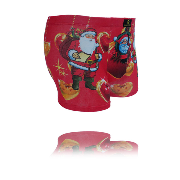 Men's underwear boxers Cotton Cueca Sexy men Boxer Shorts Men Underpants men's underwear b