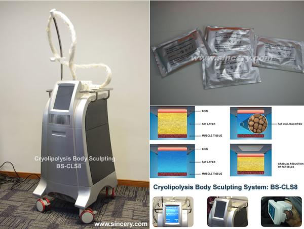 Non Surgical Liposuction Cryolipolysis Body Slimming Machine , Vacuum Weight Loss Machine