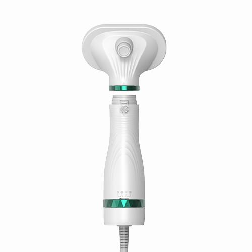 300W Electric Mini Household Pet Hair Dryer Barulho baixo Gatos Cães Grooming Blower Pet Blower de água
