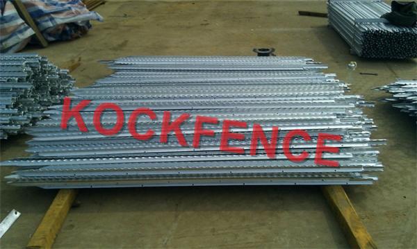 Heavy Duty Metal Fence Posts , 2.04kg/M Bitumen Painted Steel Galvanised Star Pickets