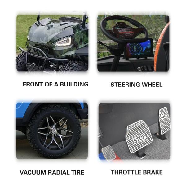 Electric Golf Cart with 2 Seater Lake Horse Transaxle Front LED Headlight