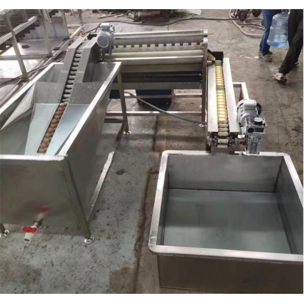 Automatic Hen Egg Cleaner Equipment/Duck Egg Washing Machine/Egg Cleaning Machine For Processing Egg Stainless Steel Linear Egg Washer with Gentle Brushing Technology