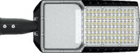 Lumens TYPE II M with IP65 Protection Rate YASL-33 Model AC85-265V Input Voltage