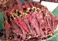 Guajillo Sun secou pimentões que Guajillo vermelho salpica o sabor doce KOSHER