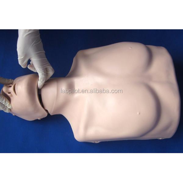 Simple Type First Aid Half Body CPR Training Manikin for School Training Facility
