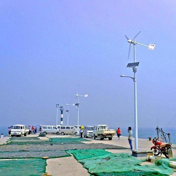 wind solar hybrid LED street light -FY-L-1080