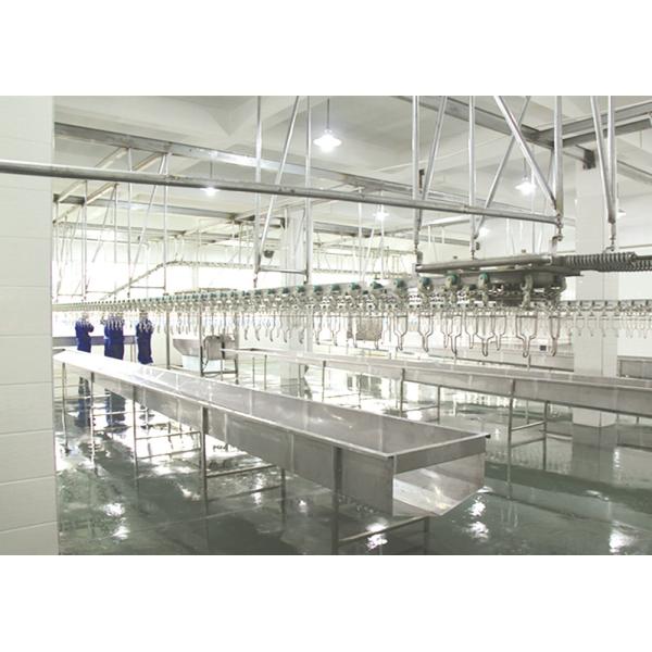 Línea de sacrificio personalizada para aves de corral Chicken Duck Goose Equipos de procesamiento de aves de corral