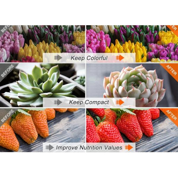 Horticulture Waterproof LED Grow Lights , AC220v Commercial LED Grow Lights