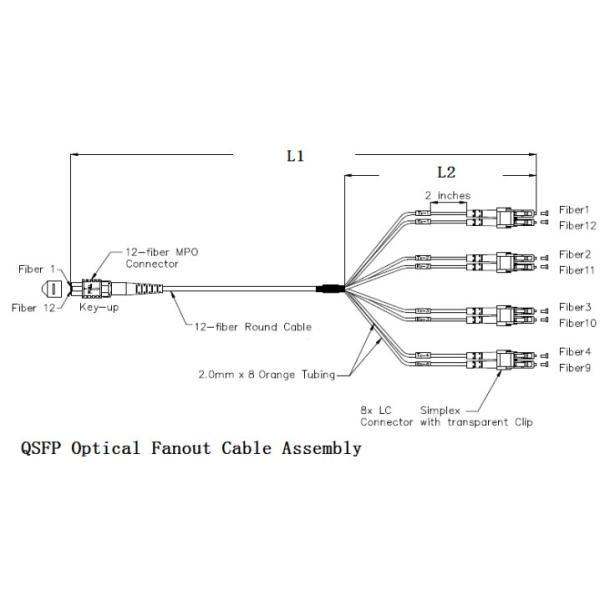 Purple FTTB Female Male UPC APC Mpo Fanout Cable