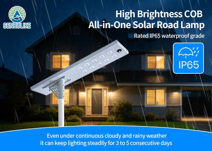 Outdoor Solar Street Light  with High Conversion Monocrystalline Solar Panel, Auto On/Off Smart Lighting with Time & Light Control