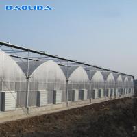 Estufa do período do multi tomate do plástico de polietileno do micro do período 80 multi