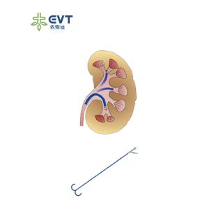 High Value Ureteral Access Sheath Endourology Practices Access Sheath Urology