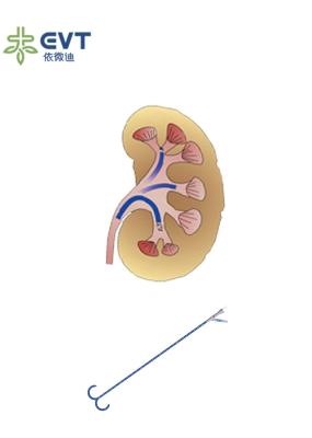 Acceso ureteral de alto valor Endurología de la vaina Prácticas de acceso Urología de la vaina