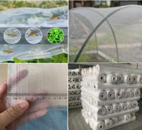 Réseau d'insectes pour l'agriculture traité aux UV blancs 6M Réseau anti-insectes en plastique