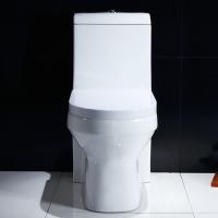 Esmalte dentro da porcelana um toalete alongado da parte para o espaço pequeno