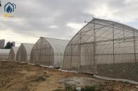 PE PO Film Tunnel Greenhouse Commercial Agricultural Greenhouse Customizable