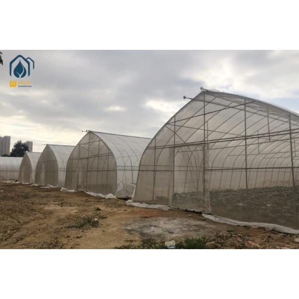 PE Film Commercial Green Houses Small Agriculture Greenhouse Customized
