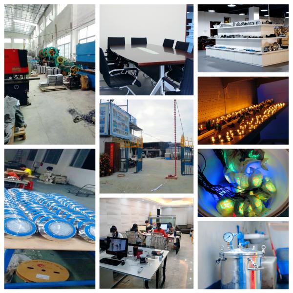 Современное Ип68 24В 12в привело подводные света бассейна