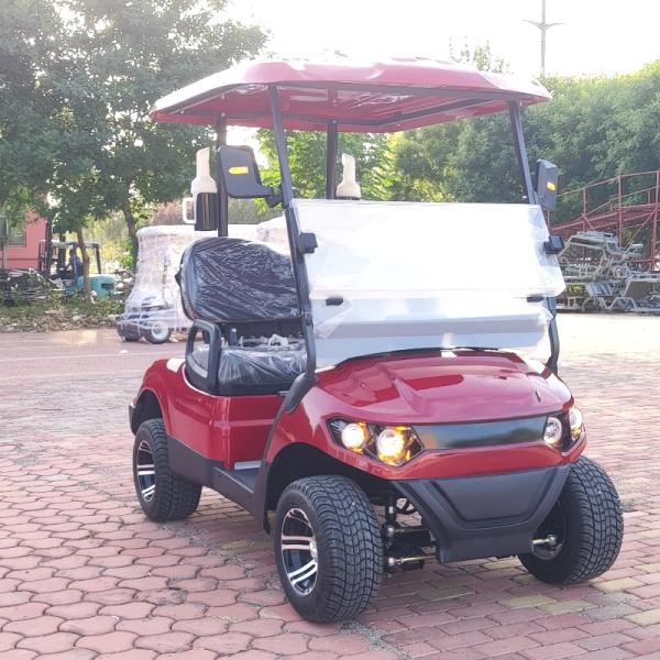 Customized Golf Cart Electric Factory Wholesale New Design 4 Wheel 2 Seater