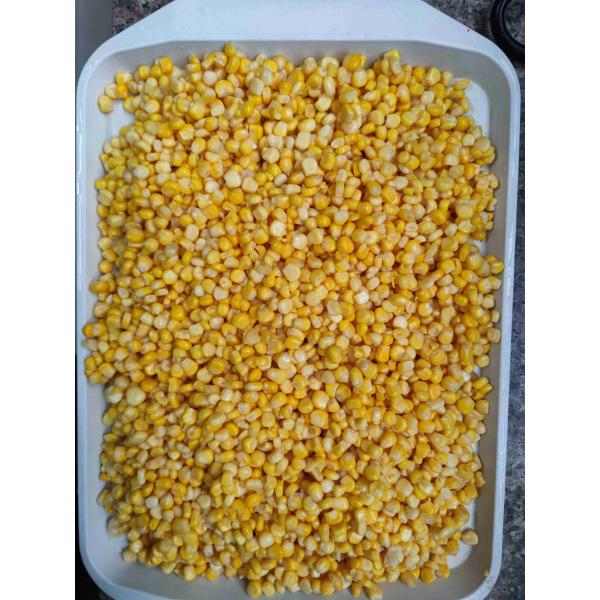 Top Quality Canned Sweet Corn with 425g Net Weight and BRC Certification for Versatile Culinary Use
