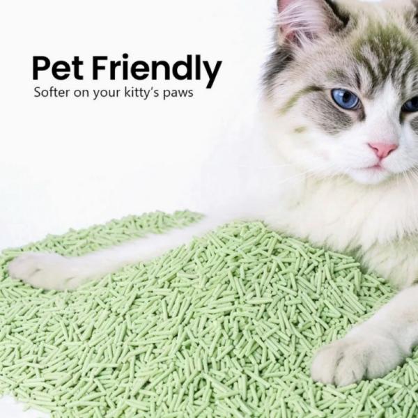 Nettoyage des animaux de compagnie Litter de thé vert de chat Contrôle des odeurs Feuilles de thé à bouillir Litter de chat