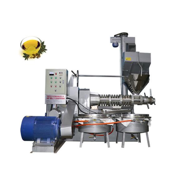 400 - 750kg/H High Oil Yield Screw Oil Press Machine Alloy Materials