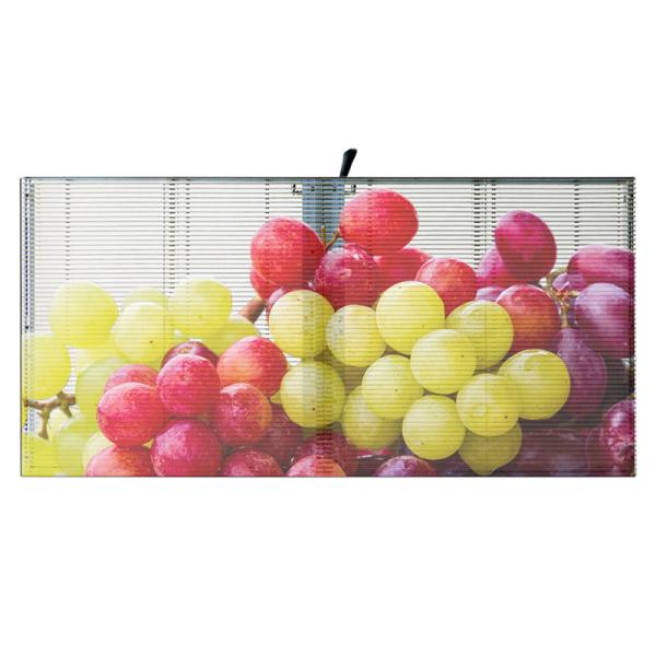 Retail Stores SMD2121 LED Flexible Transparent Film Screen 500mm*125mm Panel Size