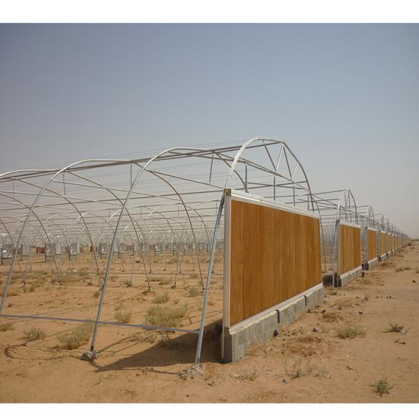 48mm/58mm Pipe Diameter Metal Frame Greenhouse for Vegetable at a Budget-Friendly