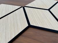 Noiseproof Hexagon Acoustic Wall Panel PET Slat Acoustic Panels Customized