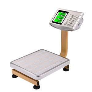 Balance électronique mini pliable portable 60 kg Balance de plateforme électronique TCS avec indicateur de banc en acier inoxydable