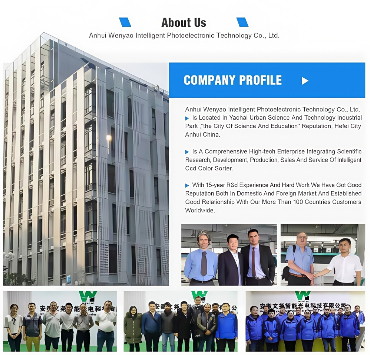 Industrial Machinery Food & Beverage Machinery Color Sorter WENYAO 3 Chutes Optical Color Sorter Caraway Coriander Seeds Grass Seeds Color Sorting Machine