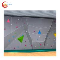 A escalada reforçada colorida da fibra de vidro guarda posses de escalada da parede da rocha